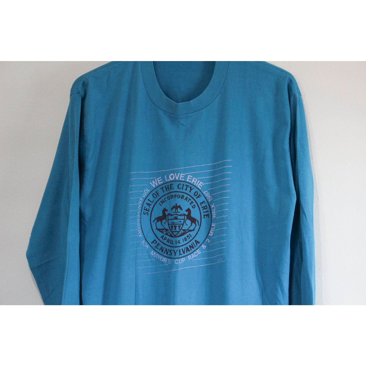 Vintage Erie Pennsylvania Run Walk 1987 Long Sleeve T Shirt XL