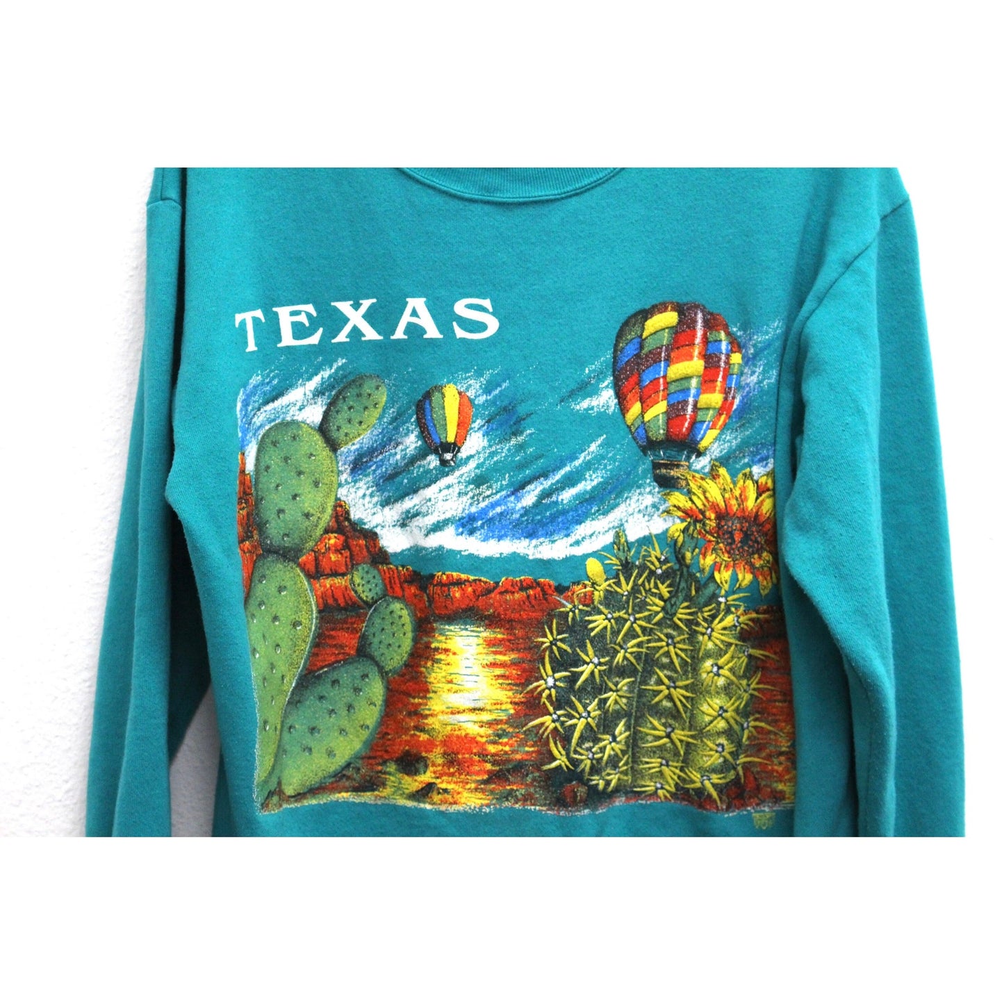 Vintage Texas Desert Landscape Sweatshirt Large