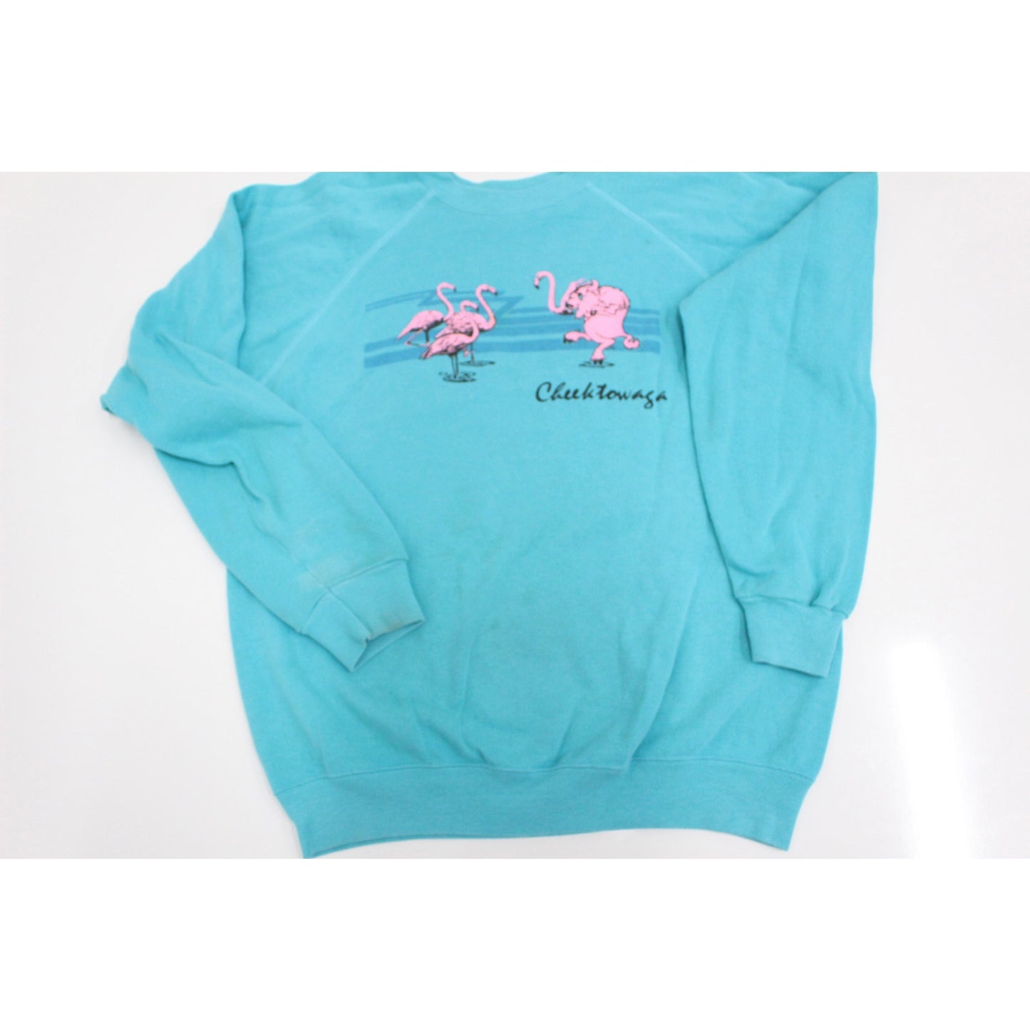 Vintage Cheektowaga New York Flamingo Sweatshirt Large