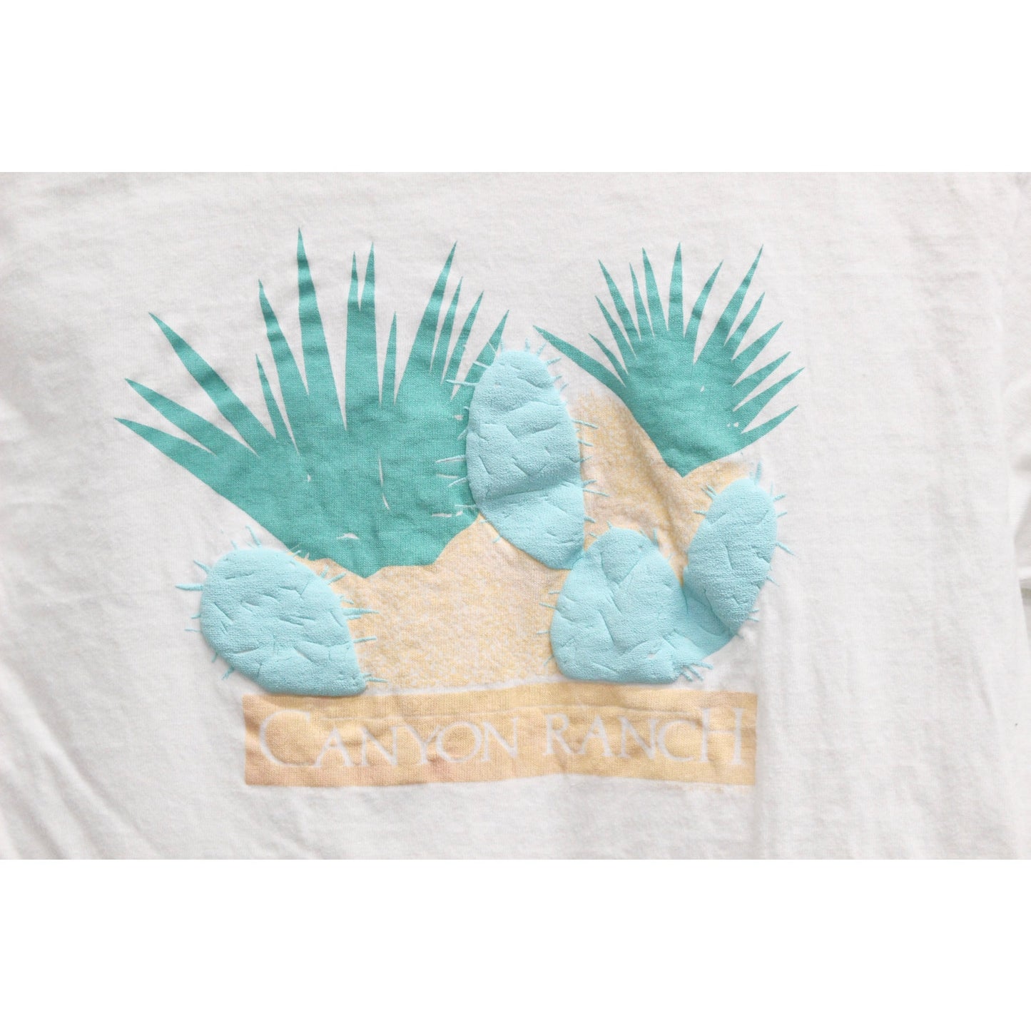 Vintage Canyon Ranch Cactus T Shirt Small