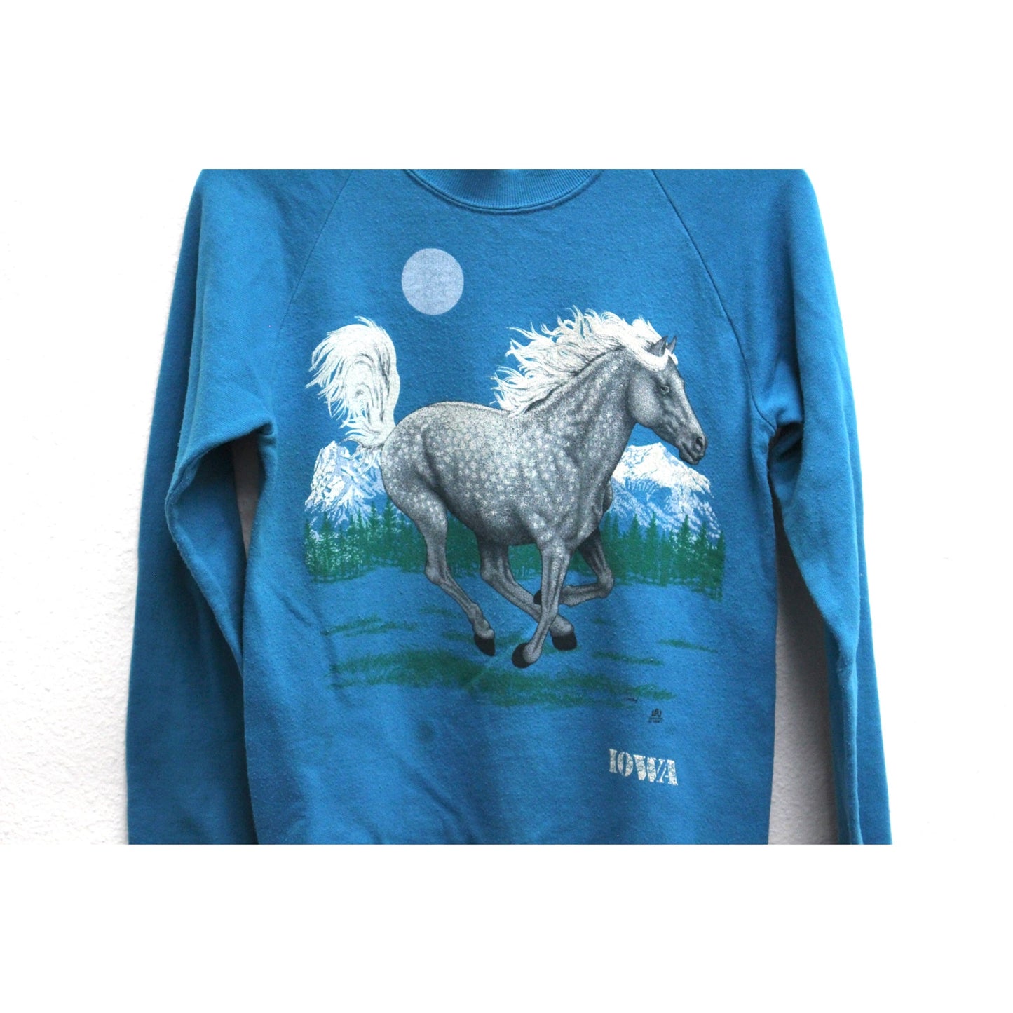 Vintage Iowa Horse Sweatshirt Small