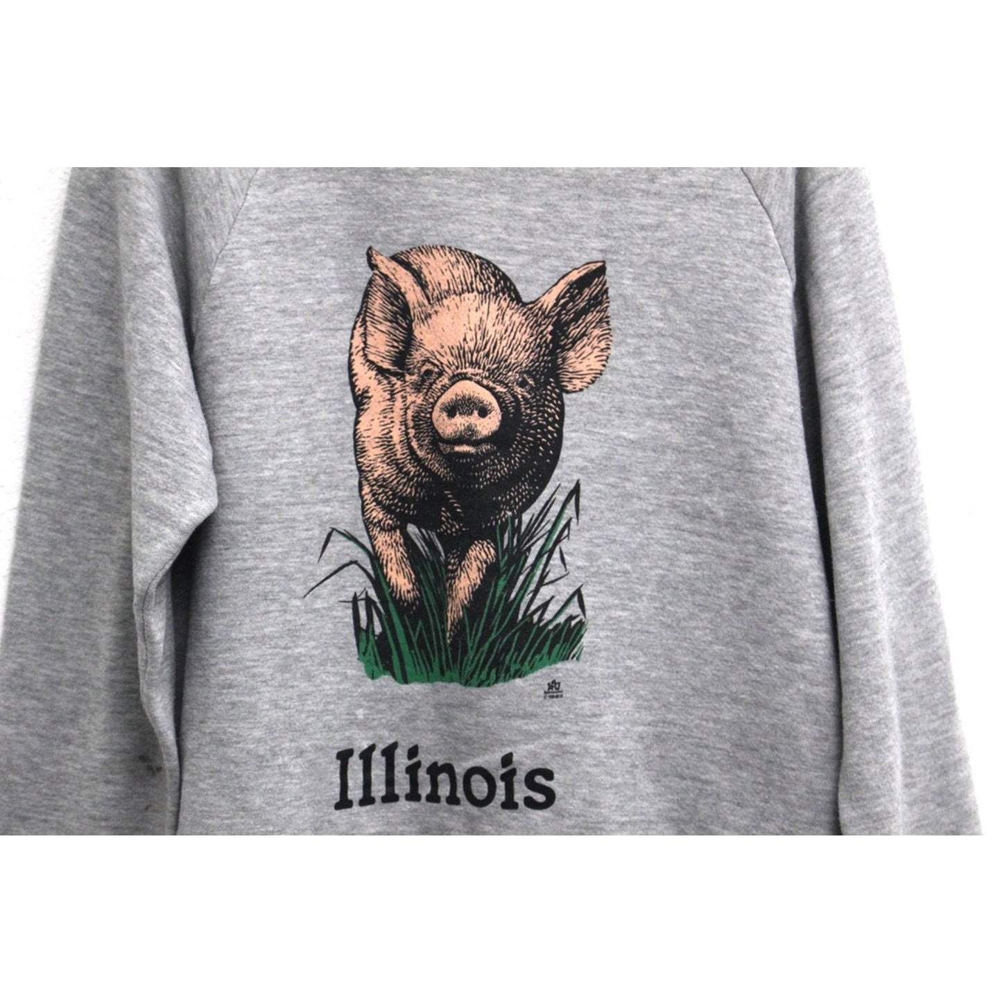 Vintage Illinois Pig Sweatshirt XL