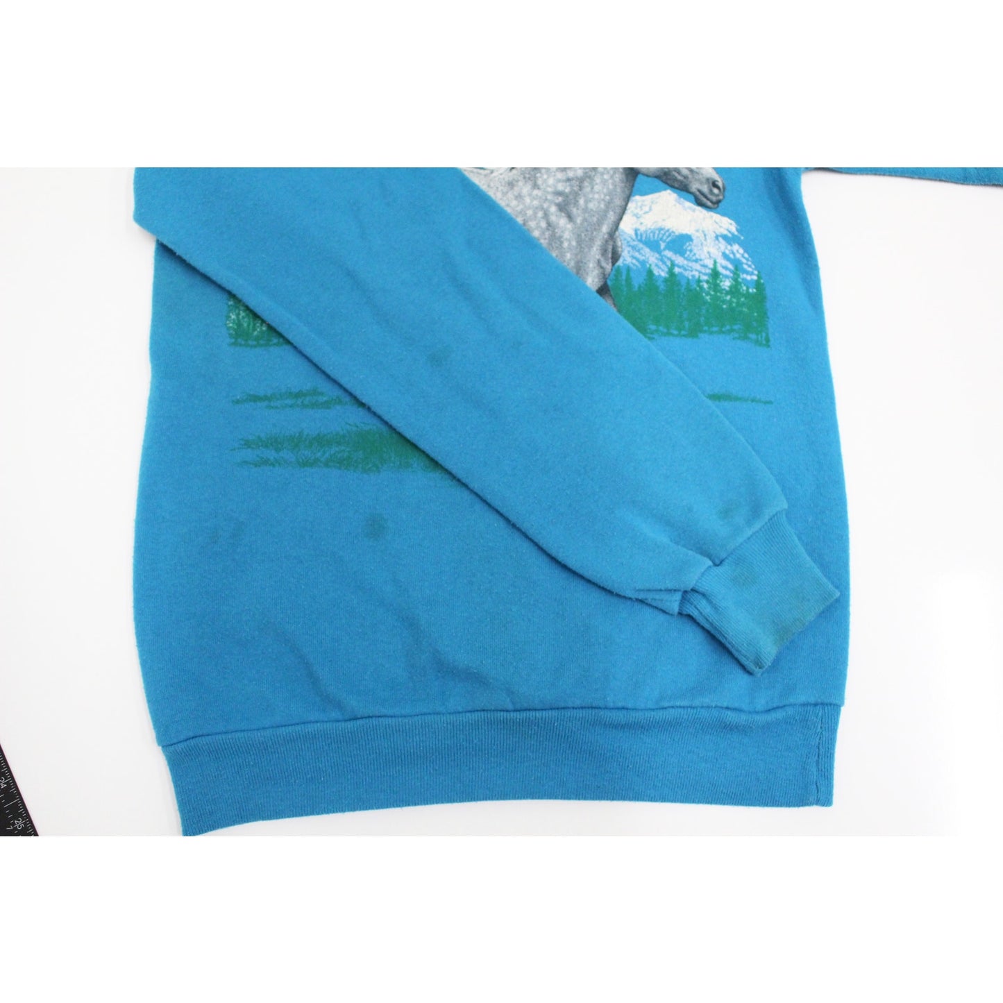 Vintage Iowa Horse Sweatshirt Small