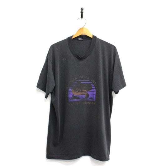 Vintage Oklahoma Arts Institute Quartz Mountain T Shirt XXL 2X
