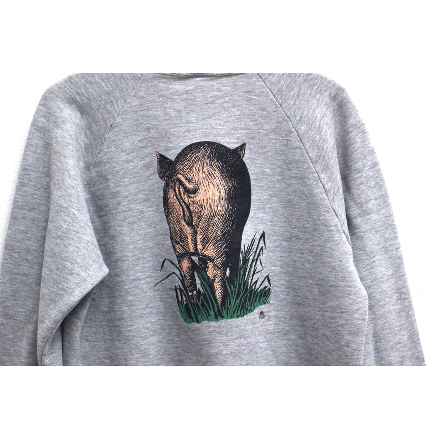 Vintage Illinois Pig Sweatshirt XL