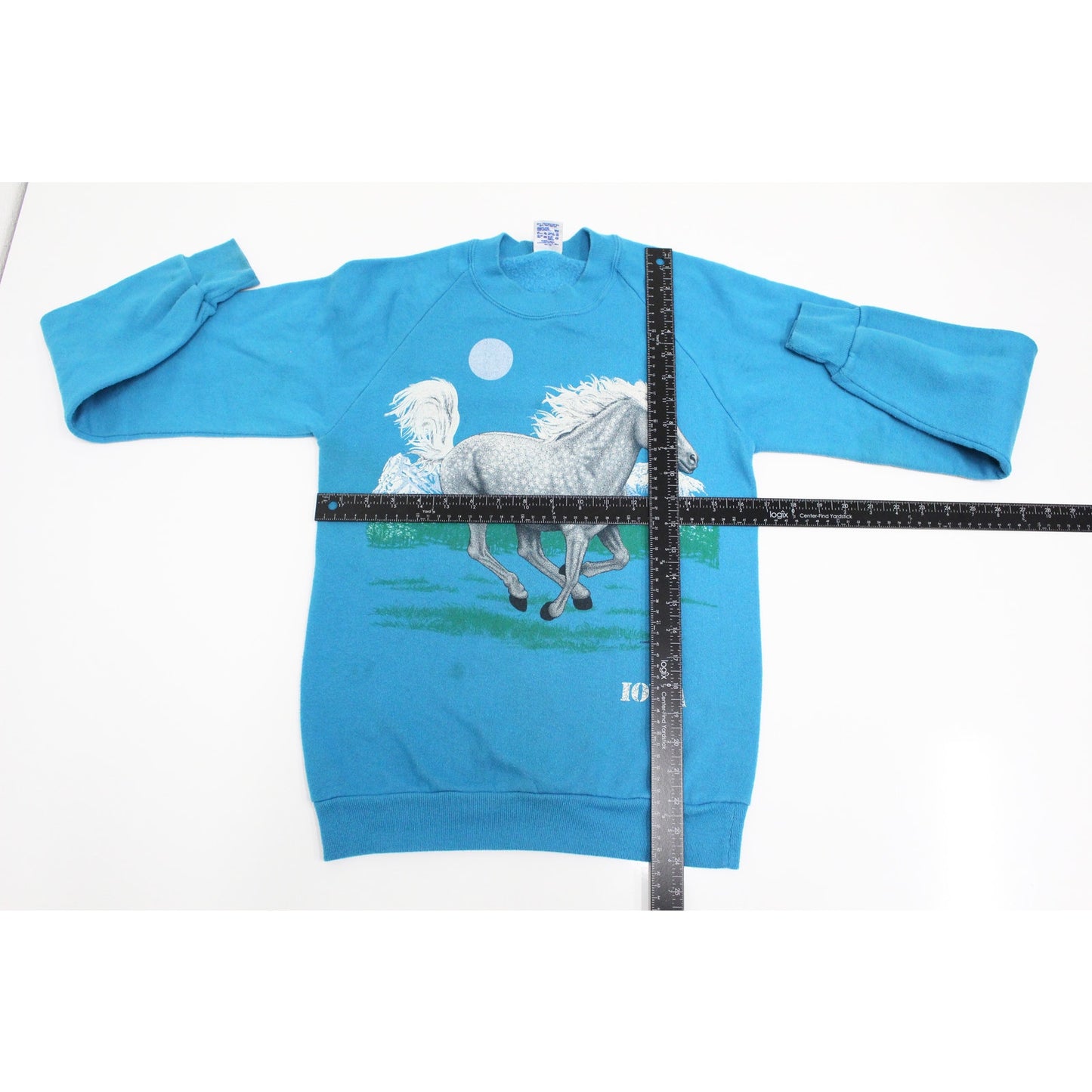 Vintage Iowa Horse Sweatshirt Small