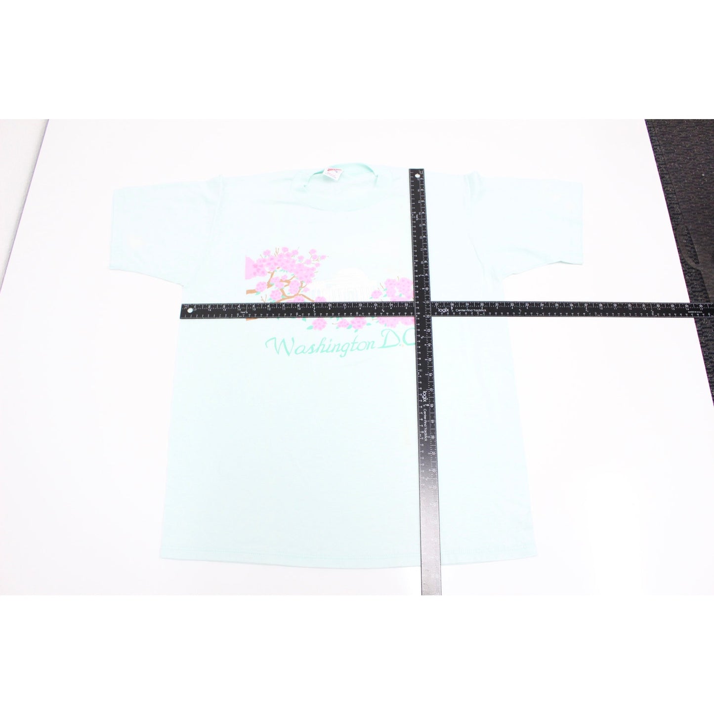 Vintage Washington DC Cherry Blossoms T Shirt XL