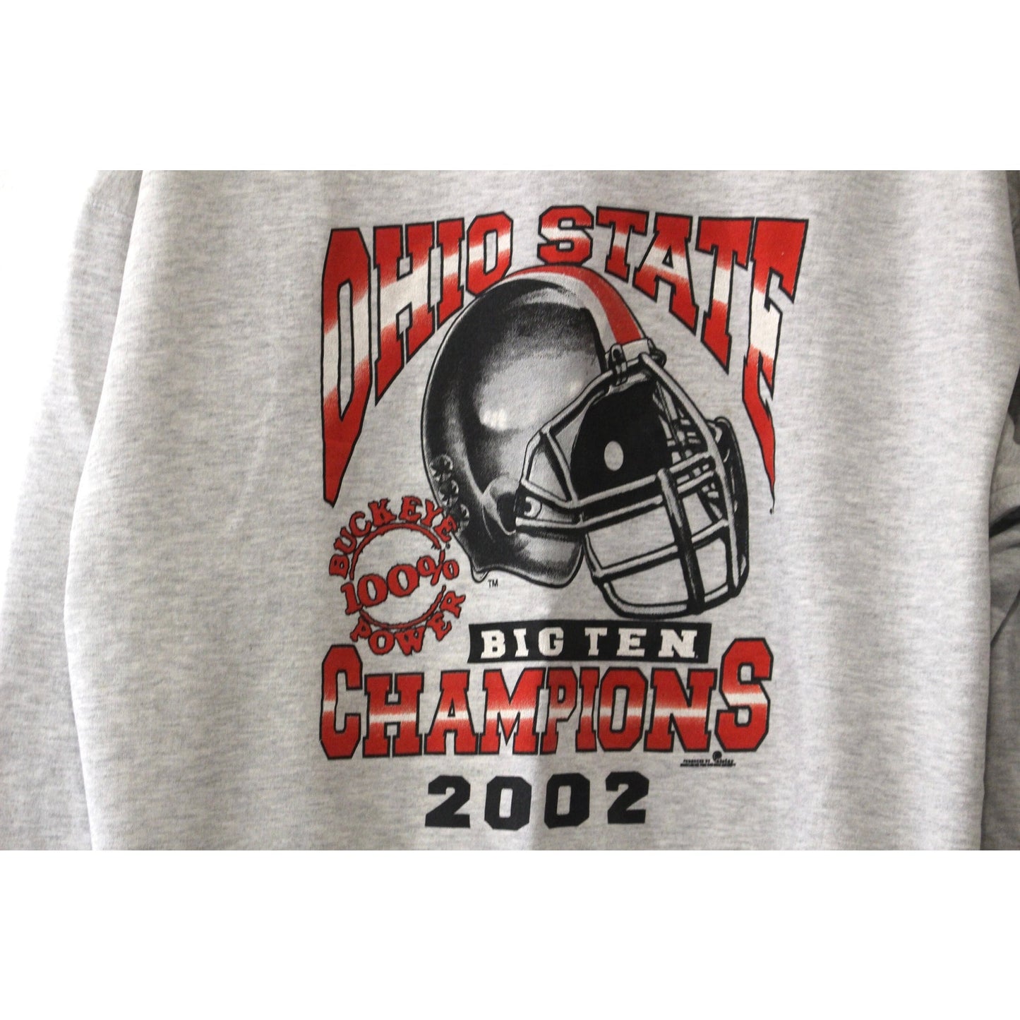 Vintage The Ohio State University OSU Buckeyes Big Ten Champions 2002 Sweatshirt XL